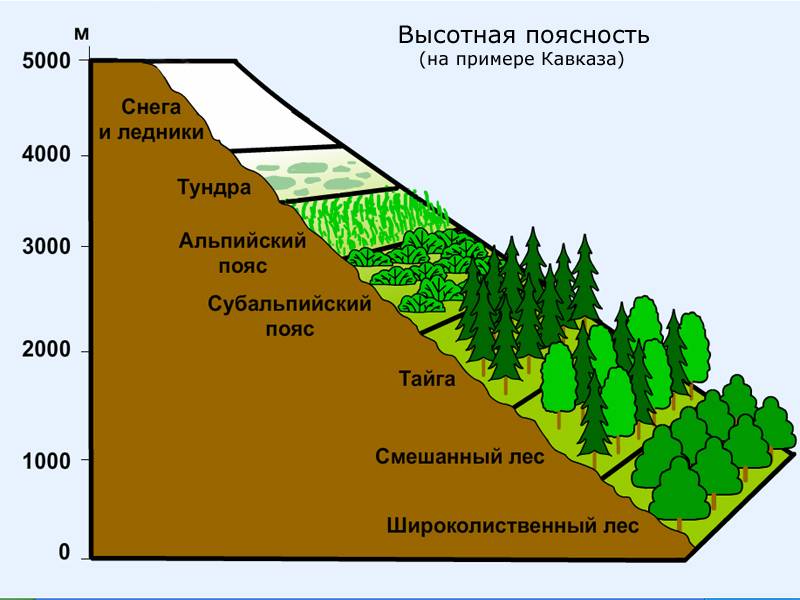 Конспект урока природные зоны земли